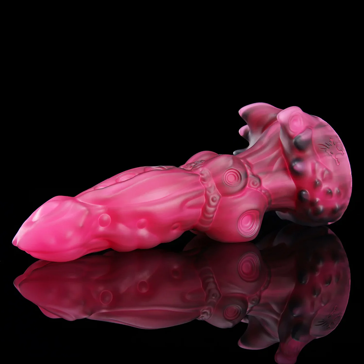 ANPU - Image 3