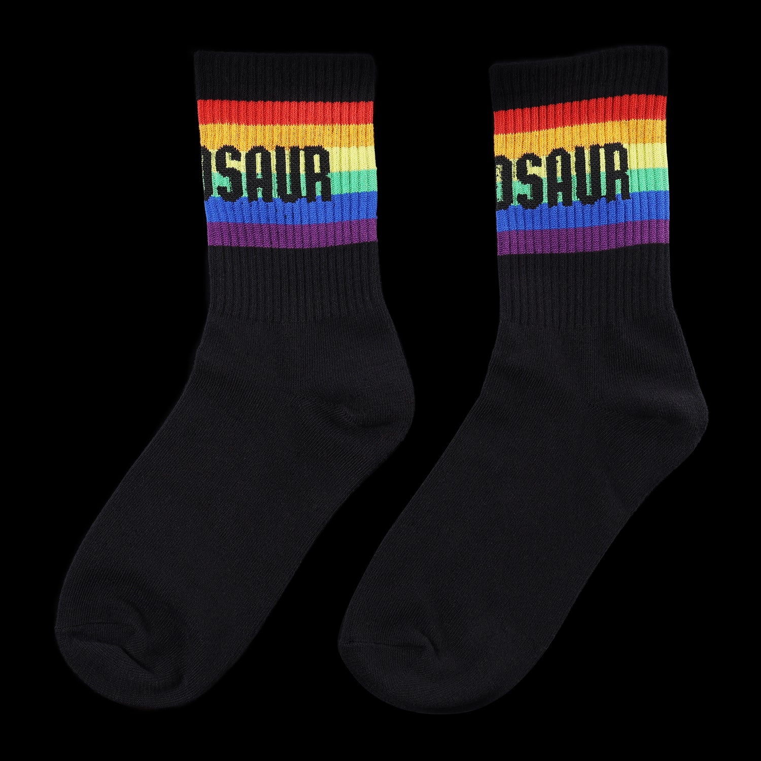 Notho's Pride Socks - Image 3