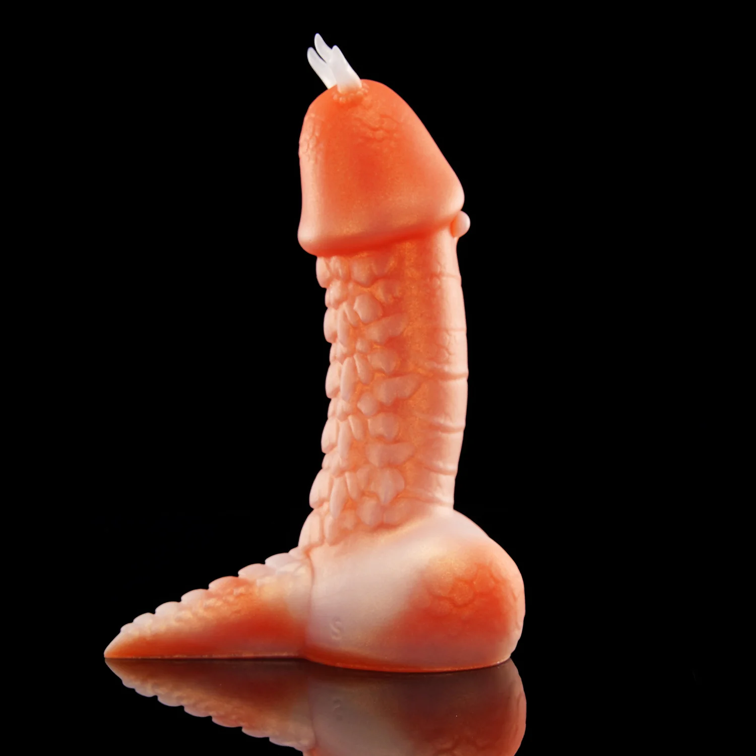 TWILIGHT - Image 7